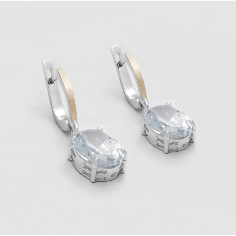 Earrings Luxury Evening