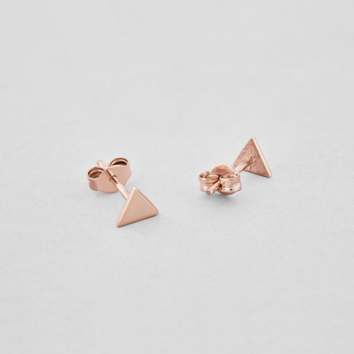 Earrings "Adventure"