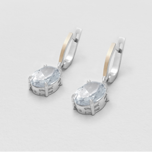 Earrings Luxury Evening