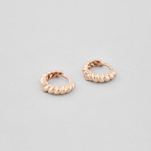 Earrings "Tenderness of lines" zol