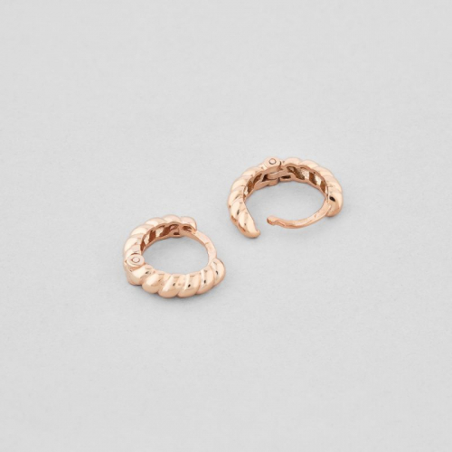 Earrings "Tenderness of lines" zol