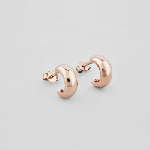 Earrings Brightness of gold