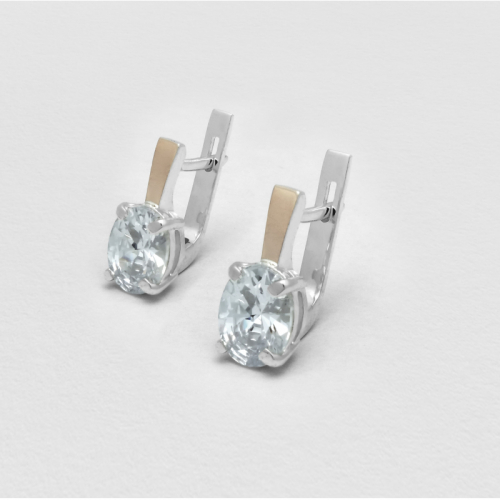Earrings Glitter