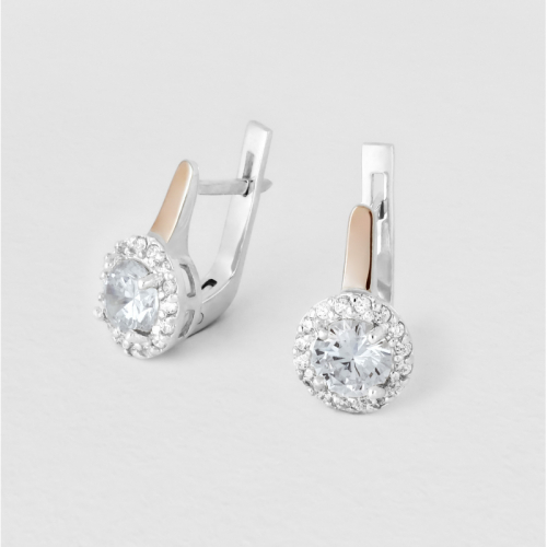 Elegance Earrings